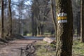 Yellow trail mark on tree in autumn