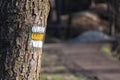 Yellow trail mark on tree in autumn