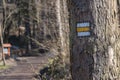 Yellow trail mark on tree in autumn