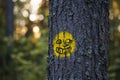 Yellow trail marker with a face on a pine tree in Southern Konnevesi National park, Finland