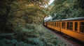 Yellow Train Passing Through Dense Forest Royalty Free Stock Photo