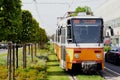 Lush green lawn between the streetcar rail tracks. Yellow tram in closeup perspective. urban street in summer Royalty Free Stock Photo