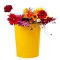 Yellow trash can flowers Royalty Free Stock Photo