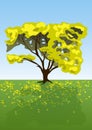 Yellow tree