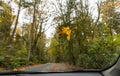 Yellow tree leaf on the car window with raindrops in a fall rainy day