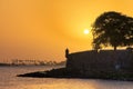 Yellow tree sunset San Juan