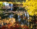 Yellow Tree Water Reflections Van Dusen Gardens Royalty Free Stock Photo