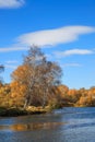 Yellow trees besides of water with blue sky background in Inner Mongolia prairie in Wulanbutong Royalty Free Stock Photo