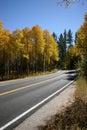 Yellow Trees by a Curved Road