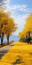 Yellow Trees Lining Paved Road Near Lake: A Chinese Tradition In Vancouver