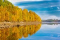 Yellow trees reflected in the calm waters of a lake in Glen Affric Scotland on a sunny day Royalty Free Stock Photo