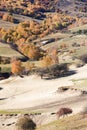 Yellow trees and sands in desert in Inner Mongolia prairie in Wulanbutong Royalty Free Stock Photo