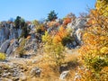 Yellow trees on slope Ai-Petri mountain in autumn