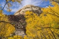 Yellow Trees White Rock Dome Valley Canyonlands Needles Utah Royalty Free Stock Photo