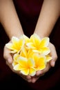 Yellow tropical flowers on hands