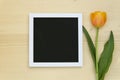 Yellow Tulip with blank black chalkboard picture frame on a light wooden background. romantic picture. Royalty Free Stock Photo