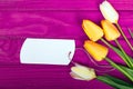 Yellow tulip bouquet and blank card Royalty Free Stock Photo