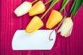 Yellow tulip bouquet and blank card Royalty Free Stock Photo