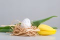 Tulip, easter egg in nest on the table