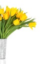 Yellow Tulip Flower Beauty Royalty Free Stock Photo