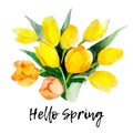 Yellow tulip flower isolated on white background with lettering `Hello Spring`, vintage watercolor illustration Royalty Free Stock Photo