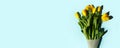 Yellow tulip flowers bouquet with hard shadow on blue background, copy space. Banner for seasonal holiday, springtime concept, Royalty Free Stock Photo