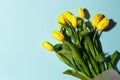 Yellow tulip flowers bouquet with hard shadow on blue background. Flat lay, copy space. Banner for seasonal holiday, springtime Royalty Free Stock Photo