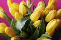 Yellow tulip flowers in glass vase Royalty Free Stock Photo