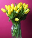 Yellow tulip flowers in glass vase Royalty Free Stock Photo