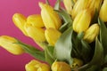 Yellow tulip flowers in glass vase Royalty Free Stock Photo