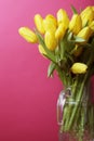 Yellow tulip flowers in glass vase Royalty Free Stock Photo