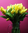 Yellow tulip flowers in glass vase Royalty Free Stock Photo
