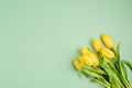 Yellow tulip flowers over light green background. Easter holiday, mothers day greeting card idea Royalty Free Stock Photo