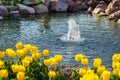 Yellow tulip fountain pond