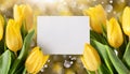 Yellow tulips background with copy space with bokeh. Spring floral beautiful card. Fresh flowers. Royalty Free Stock Photo