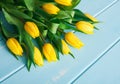 Yellow tulips on blue wood background, copy space Royalty Free Stock Photo