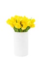 Yellow tulips bouquet in clay white vase isolated over white background with clipping path Royalty Free Stock Photo