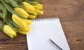 Yellow tulips bouquet with empty blank notepad and pen on wooden background. Royalty Free Stock Photo