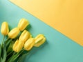 Yellow tulips on empty yellow green background with copy space. Greeting card or wedding invitation. Royalty Free Stock Photo