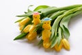 Yellow tulips flowers two chickens toys pink blue head green leafs