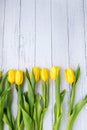 Yellow tulips flowers on white wooden background. Waiting for spring. Happy Easter card. Flat position, top view. Place for text Royalty Free Stock Photo