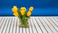 Yellow tulips in the glass vase on the white wooden table and blue background Royalty Free Stock Photo