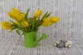 Yellow tulips in green watering can