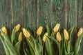 Yellow tulips on green wooden background, happy easter time