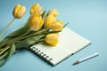 Yellow tulips and a light blue background with a notepad, in the style of understated elegance Royalty Free Stock Photo