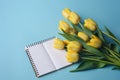 Yellow tulips and a light blue background with a notepad, in the style of understated elegance Royalty Free Stock Photo