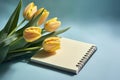 Yellow tulips and a light blue background with a notepad, in the style of understated elegance Royalty Free Stock Photo