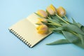 Yellow tulips and a light blue background with a notepad, in the style of understated elegance Royalty Free Stock Photo