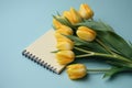 Yellow tulips and a light blue background with a notepad, in the style of understated elegance Royalty Free Stock Photo