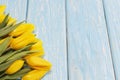 Yellow tulips on a light blue wooden background Royalty Free Stock Photo